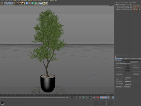 Plants collection 676 3Dモデル