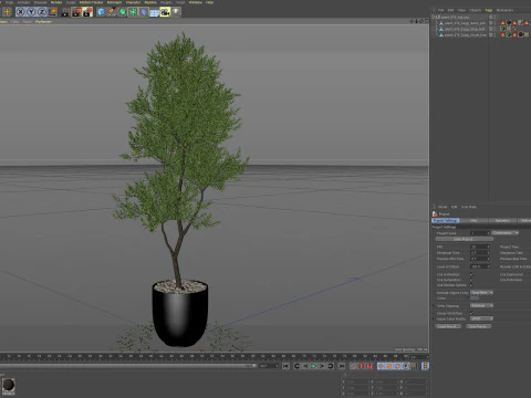 Plants collection 676 3D Model
