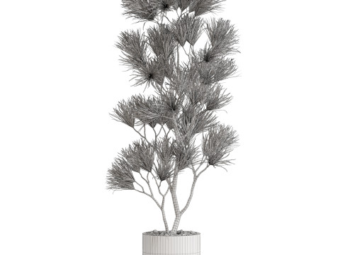 Plants collection 677 Modello 3D