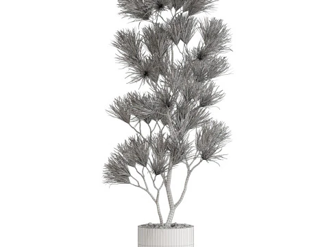 Plants collection 677 3D Model