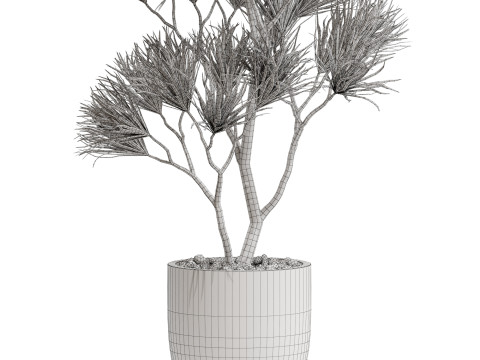 Plants collection 677 Modello 3D