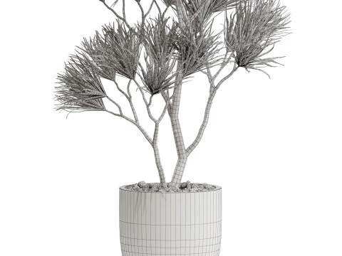 Plants collection 677 3D Model