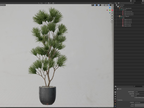 Plants collection 677 Modello 3D