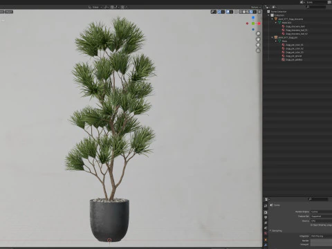 Plants collection 677 3D Model