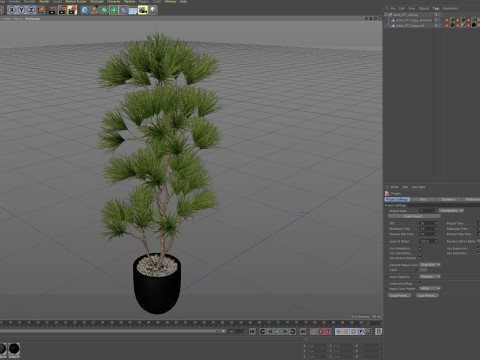 Plants collection 677 Modello 3D