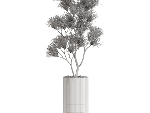 Plants collection 678 3Dモデル