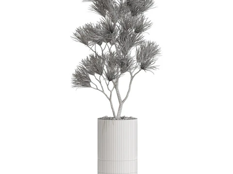 Collezione piante 678 Modello 3D