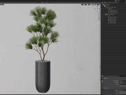 Plants collection 678 3Dモデル