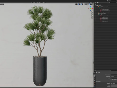 Collezione piante 678 Modello 3D