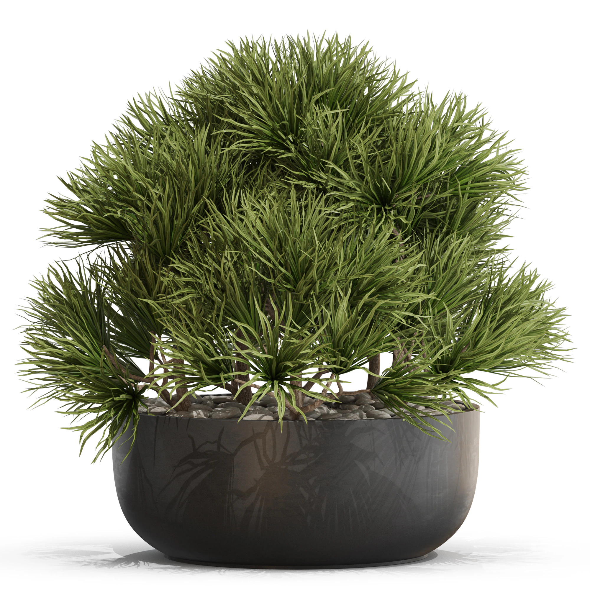 Plants collection 679 3D Model .c4d .max .obj .3ds .fbx .stl .blend 