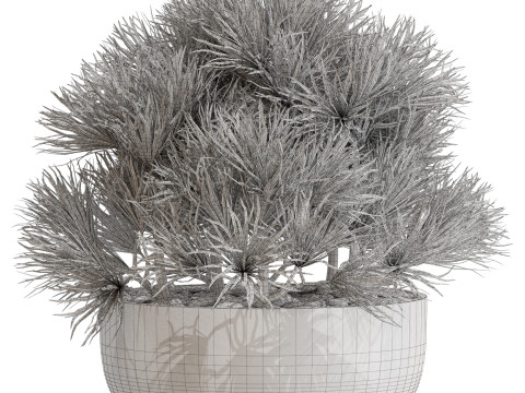 Plants collection 679 3D 模型