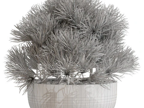 Plants collection 679 3D Model
