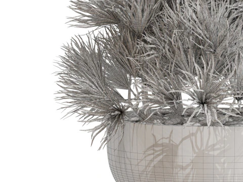Plants collection 679 3D Model