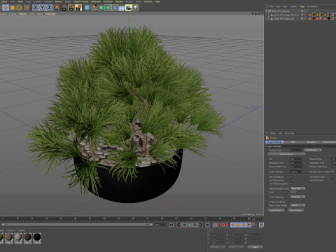 Plants collection 679 3D 模型