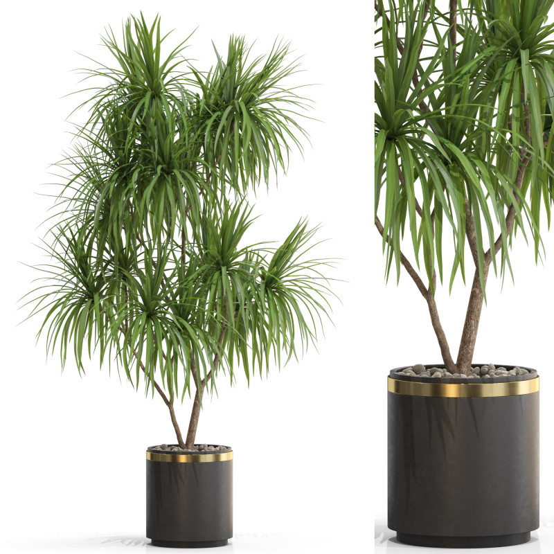 Plants collection 680 3Dモデル .c4d .max .obj .3ds .fbx .stl .blend