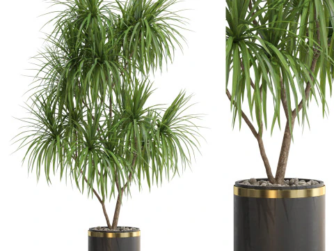 Kolekcja roślin 680 Model 3D