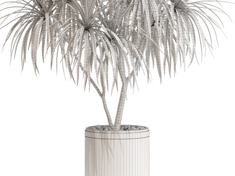 Plants collection 680 3Dモデル