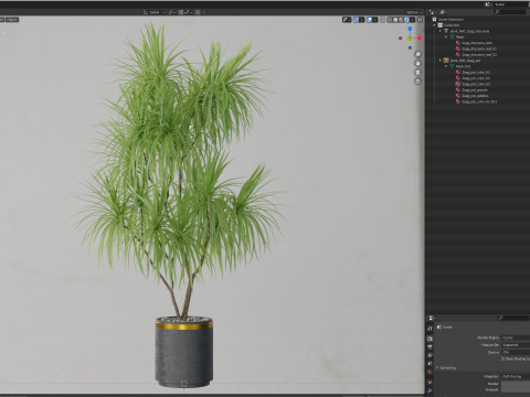 Plants collection 680 3Dモデル