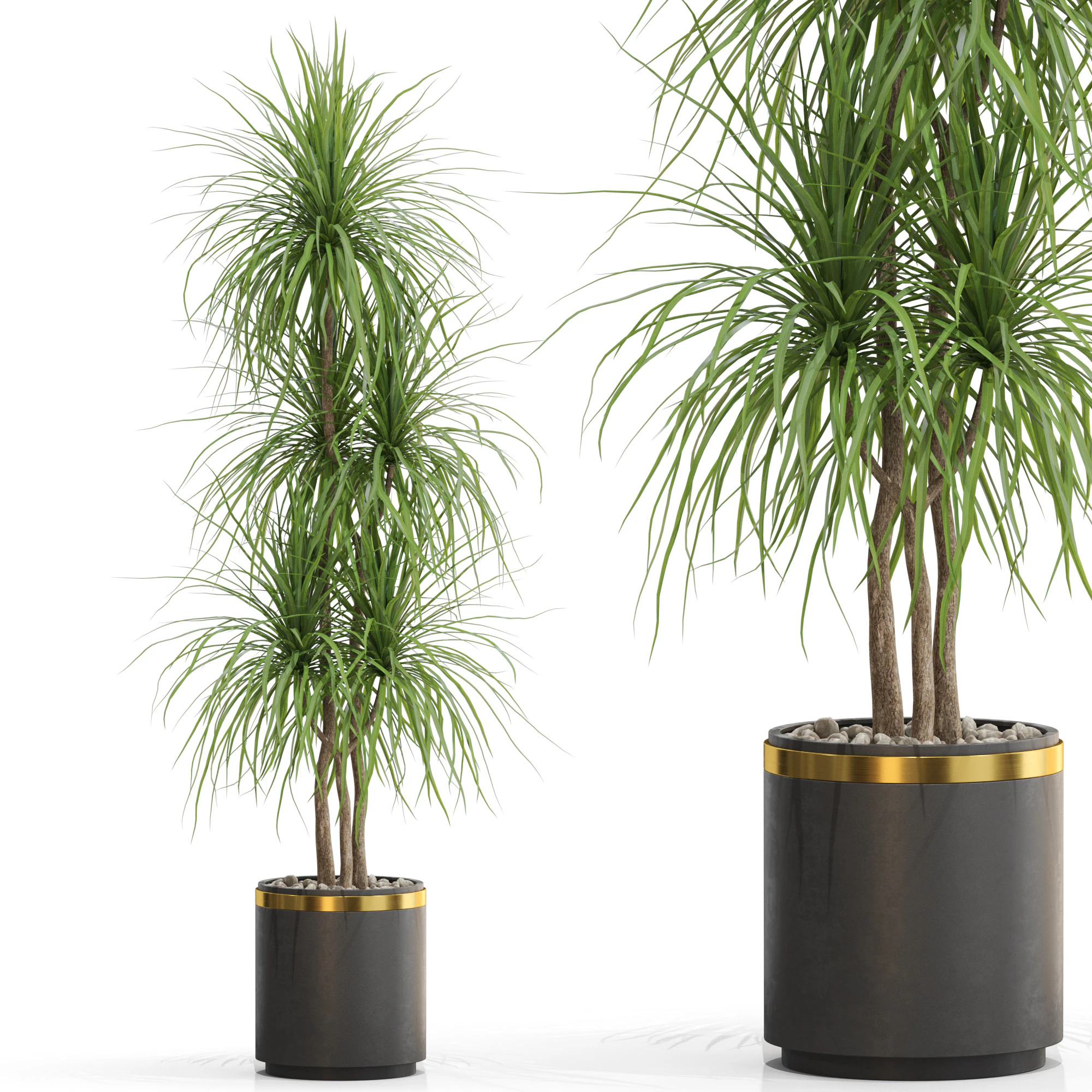 Plants collection 681 3D Model .c4d .max .obj .3ds .fbx .stl .blend 