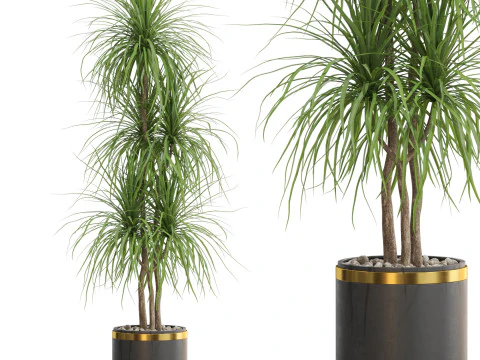 Коллекция растений 681 3D Модель