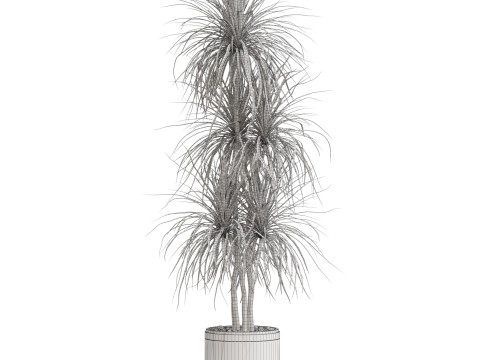 Plants collection 681 Modelo 3D