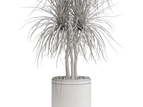 Plants collection 681 3D Model