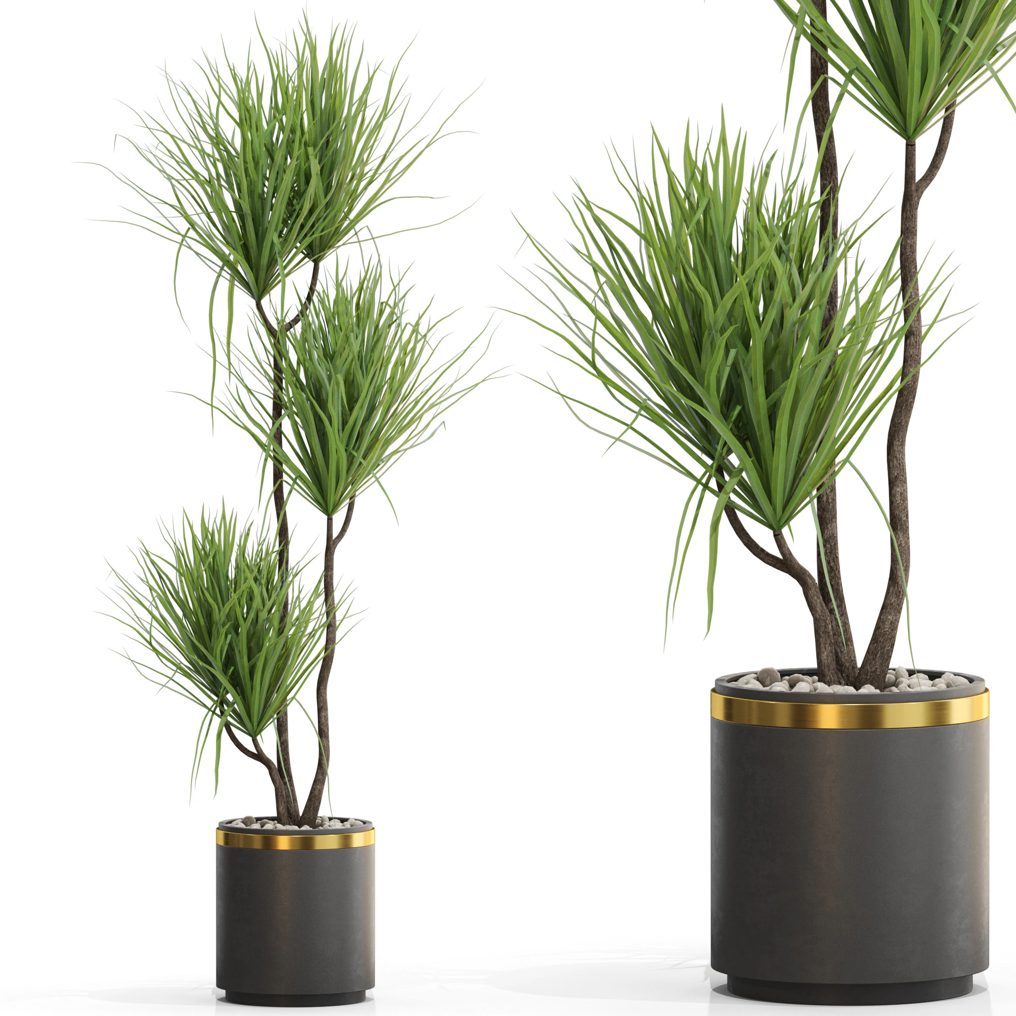 Plants collection 682 3D Model .c4d .max .obj .3ds .fbx .stl .blend
