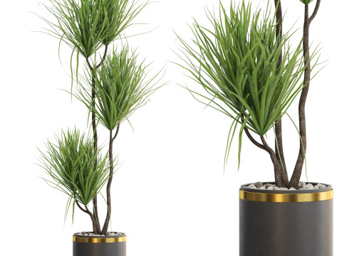 Plants collection 682 3D 모델