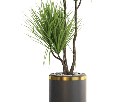 Plants collection 682 3D मॉडल