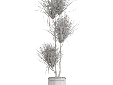 Plants collection 682 3D मॉडल