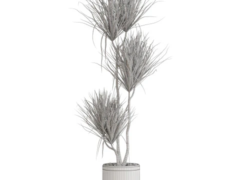 Plants collection 682 3D Model
