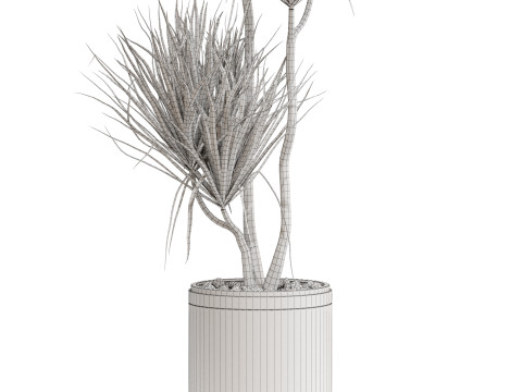 Plants collection 682 3D मॉडल