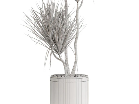 Plants collection 682 3D Model