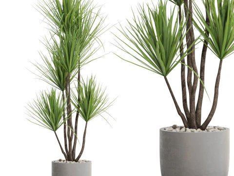 Коллекция растений 683 3D Модель