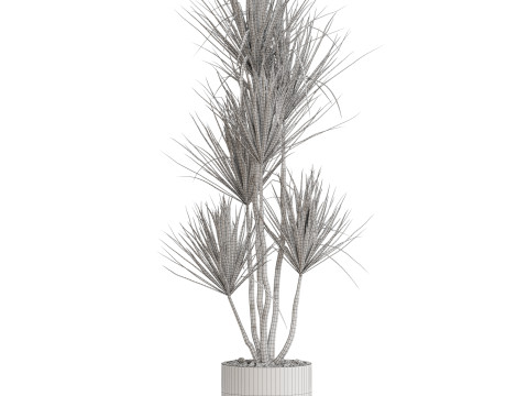 Plants collection 683 3D मॉडल