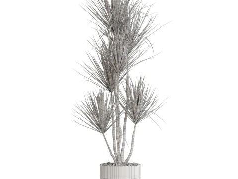 Plants collection 683 3D Model