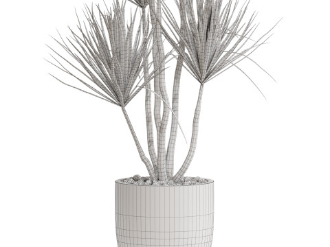 Plants collection 683 3D मॉडल