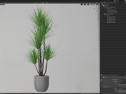 Plants collection 683 3D मॉडल