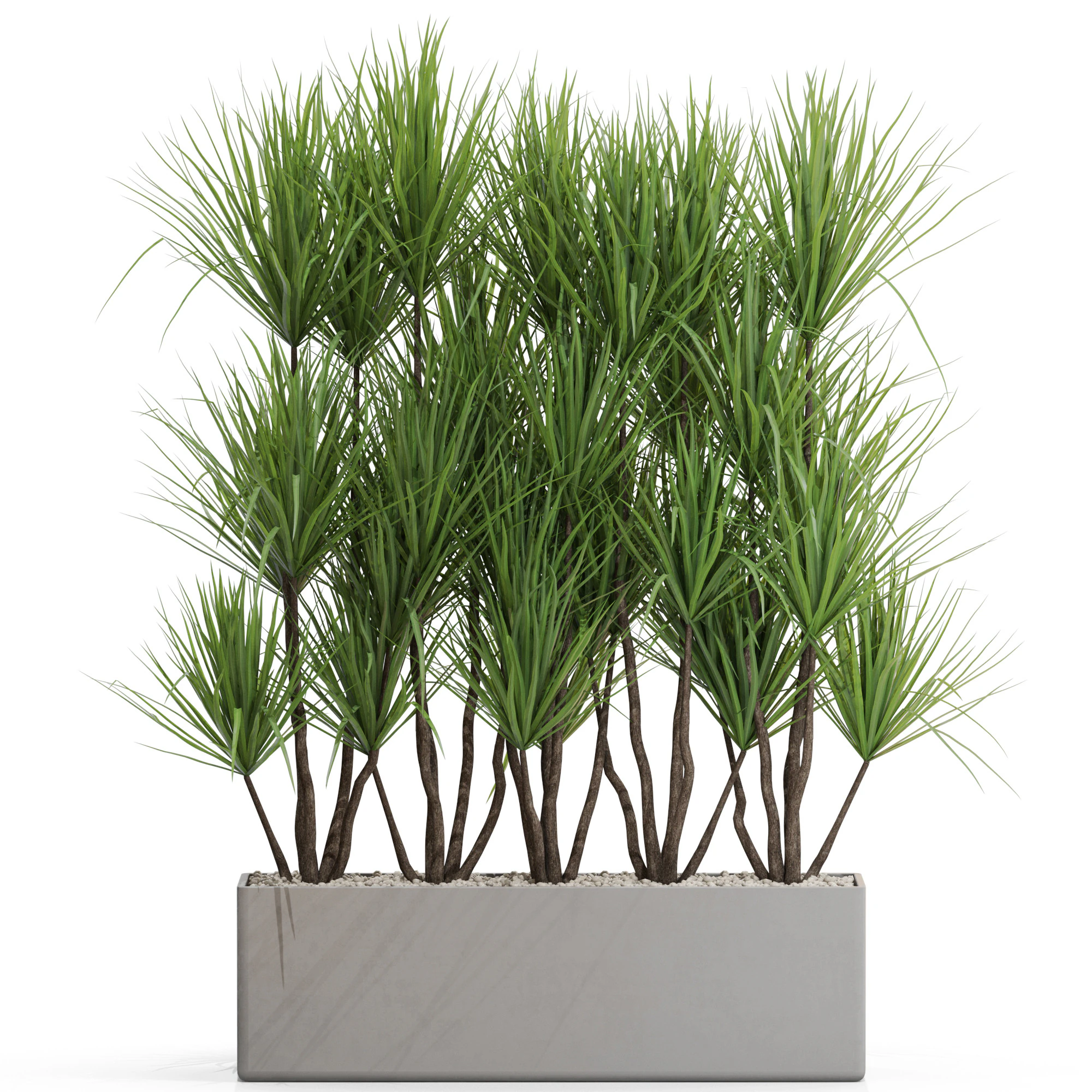 Plants collection 684 3D Model .c4d .max .obj .3ds .fbx .stl .blend