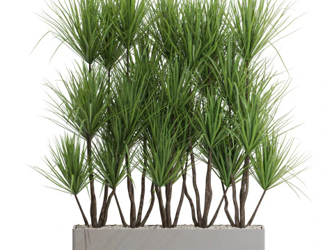 Коллекция растений 684 3D Модель