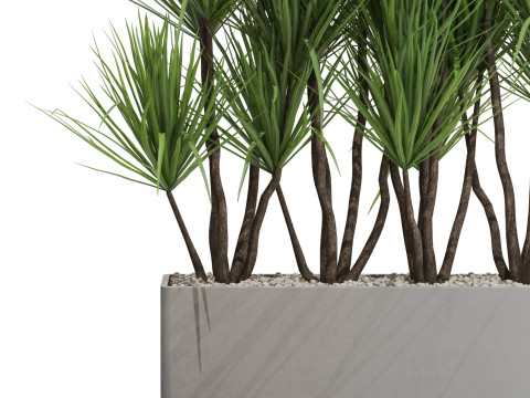 Plants collection 684 3D Model