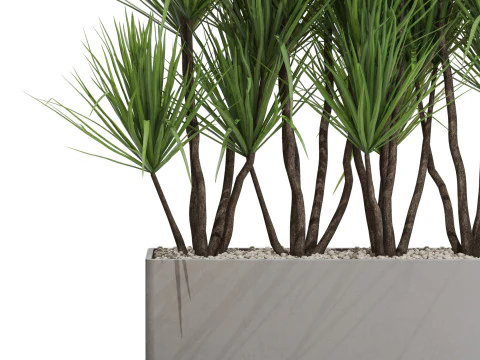 Plants collection 684 3D Model