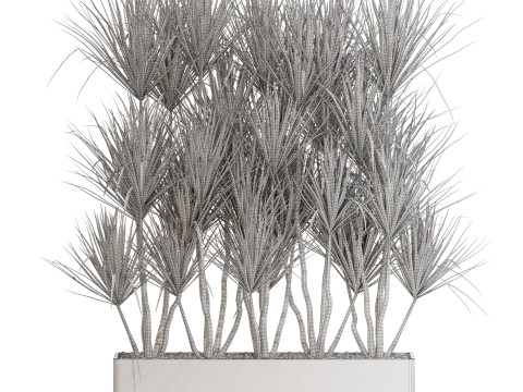 Plants collection 684 3D Model