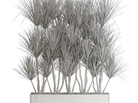 Plants collection 684 3D Model