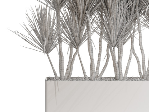 Plants collection 684 3D Model