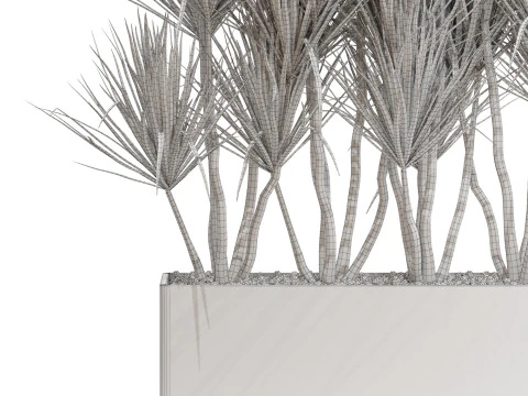Plants collection 684 3D Model