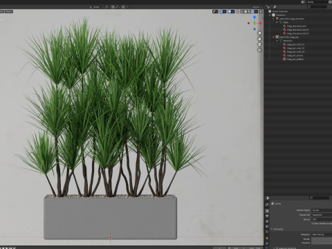 Plants collection 684 3D Model