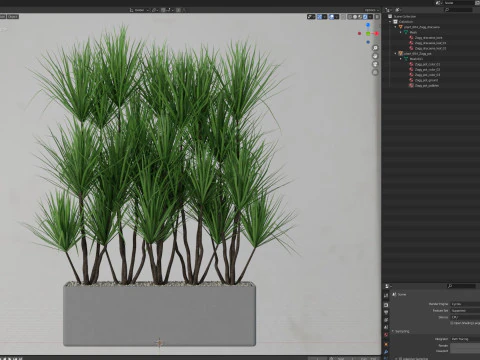 Plants collection 684 3D Model