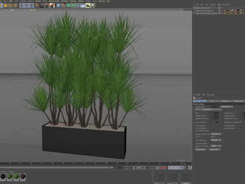Plants collection 684 3D Model