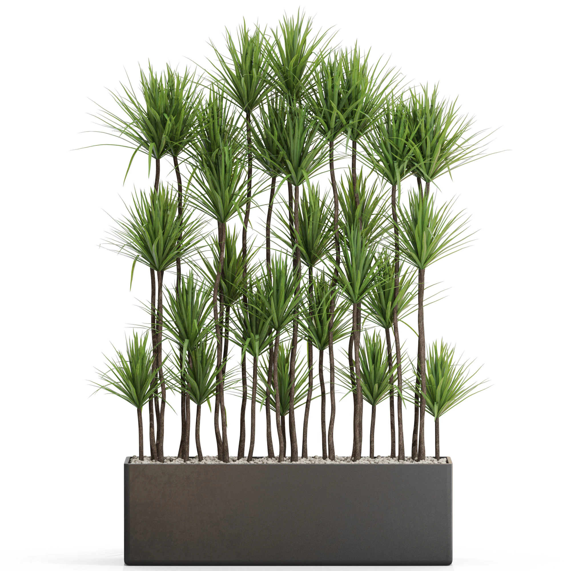 Plants collection 685 3D Model .c4d .max .obj .3ds .fbx .stl .blend